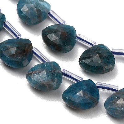 Natural Apatite Beads Strands G-C292-A06-01-1