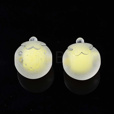 Transparent Acrylic Beads TACR-S135-019-1