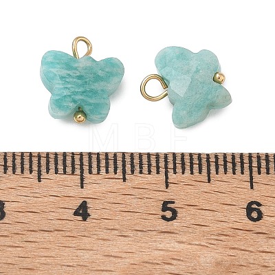 Natural Amazonite Pendants KK-D289-61G-04-1