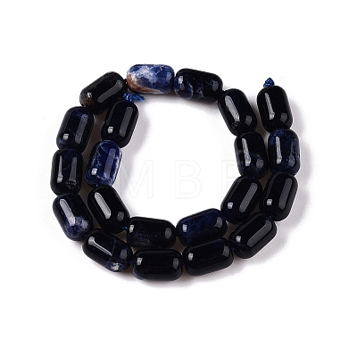 Natural Sodalite Beads Strands G-G980-37B-1