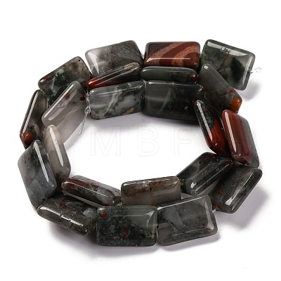 Natural African Bloodstone Beads Strands G-T047-B06-01-1