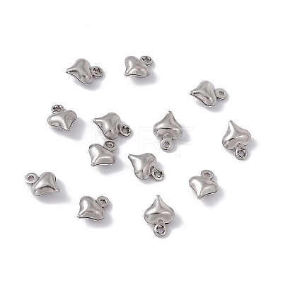 Non-Tarnish 304 Stainless Steel Charms STAS-G291-15P-1