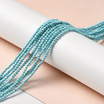 Natural Howlite Beads Strands G-C025-03A-01-1