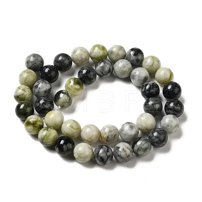Natural Xiuyu Jade Beads Strands G-H298-A08-04-1