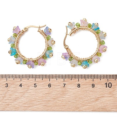 Transparent Acrylic Hoop Earrings EJEW-JE06954-1