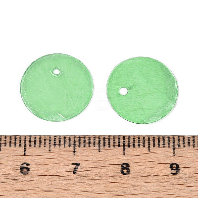 Spray Painted Natural Capiz Shell Disc Charms BSHE-T014-02E-1
