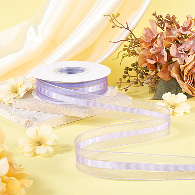 Polyester Lace Ribbon OCOR-TADJ0001-07H-1