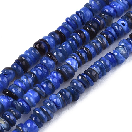 Natural Freshwater Shell Beads Strands SHEL-S278-067A-1