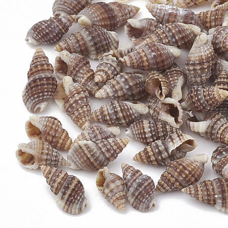 Sea Shell Beads SSHEL-S258-03-1