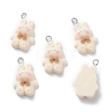 Resin Pendants X-RESI-G026-12B-1