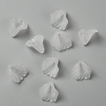 Transparent Acrylic Beads X-PL622-9-1