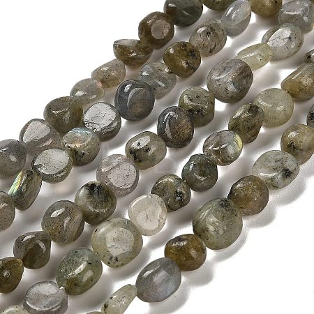 Natural Labradorite Beads Strands G-P497-01E-47-1