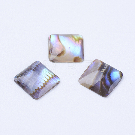 Natural Paua Shell Cabochons X-SSHEL-F301-25-1