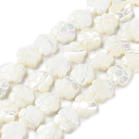 Natural Trochus Shell Beads Strands BSHE-E030-03-1