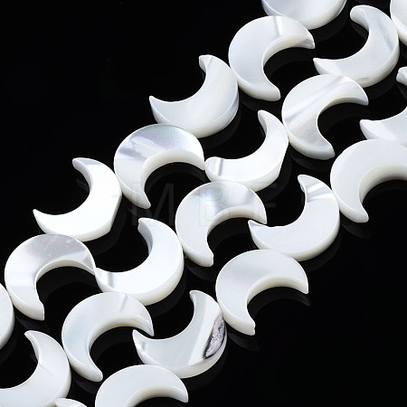 Natural Trochid Shell/Trochus Shell Beads Strands SSHEL-S266-025B-01-1