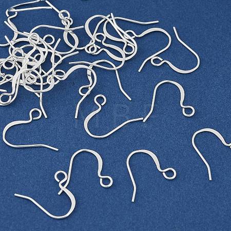 Brass Earring Hooks KK-H258-06G-S-1