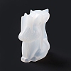 3D Figurine Silicone Molds DIY-E058-02G-3