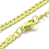 Spray Painted 201 Stainless Steel Curb Chain Necklaces NJEW-R258-01C-2
