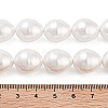 Electroplated Shell Pearl Beads Strands BSHE-H110-01-03-5