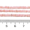 Natural Freshwater Shell Beads Strands SHEL-P017-01A-09-4