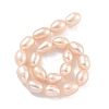 Natural Cultured Freshwater Pearl Beads Strands PEAR-P062-10G-3