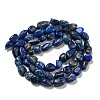 Natural Lapis Lazuli Beads Strands G-P497-01A-14-3