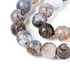 Dyed & Heated Natural Fire Crackle Agate Beads Strands G-N359-01A-03-4