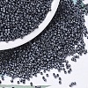 MIYUKI Delica Beads SEED-J020-DB0306-1