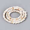 Natural Freshwater Shell Beads Strands SHEL-N038-29A-1