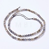 Natural Labradorite Beads Strands G-F568-199-4mm-2