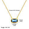 304 Stainless Steel Pave Cubic Zirconia Oval Birth Stone Pendant Necklaces for Women FS-WGC2097-08-1