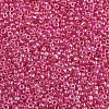 8/0 Glass Seed Beads X-SEED-A016-3mm-206-2
