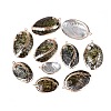 Electroplate Natural Paua Shell Pendants SSHEL-Q100-18KCG-1
