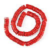 1 Strand Natural Freshwater Shell Beads Strands SHEL-TA0001-35C-1