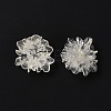 Transparent Resin Cabochons X-RESI-G027-01A-4
