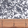 MIYUKI Delica Beads X-SEED-J020-DB0306-4