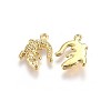 Alloy Pendants TIBEP-A040-015G-NR-2