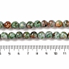 Natural Agate Bead Strands G-C116-B01-04-5