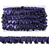 10Yards Polyester Lace Ribbon OCOR-TA0004-26F-1