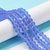 Transparent Glass Beads Strands EGLA-A034-T8mm-MD14-2