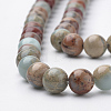 Natural Aqua Terra Jasper Strands G-S150-50-8mm-3