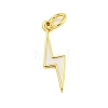 Rack Plating Brass Enamel Pendants KK-U021-16G-2