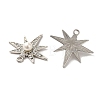 Alloy with Rhinestone Pendants FIND-B032-17P-2