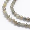 Natural Labradorite Beads Strands G-P322-30-4mm-3