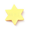 Christmas Opaque Resin & Plastic Imitation Biscuits Decoden Cabochons RESI-K019-54A-2