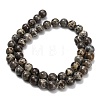 Natural Astroite Jasper Beads Strands G-F814-A01-8mm-3