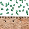 Two Cut Glass Seed Beads CSDB47-3