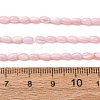 Dyed Natural Freshwater Shell Beads Strands SH-CBA2978-06D-4