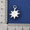 925 Sterling Silver Pendants STER-K188-14S-3