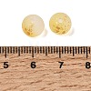 Frosted Transparent Glass Beads GLAA-A045-04K-3